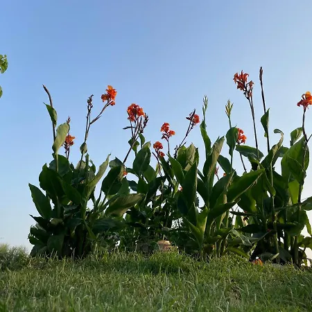 Sea Side View Σπίτι διακοπών *