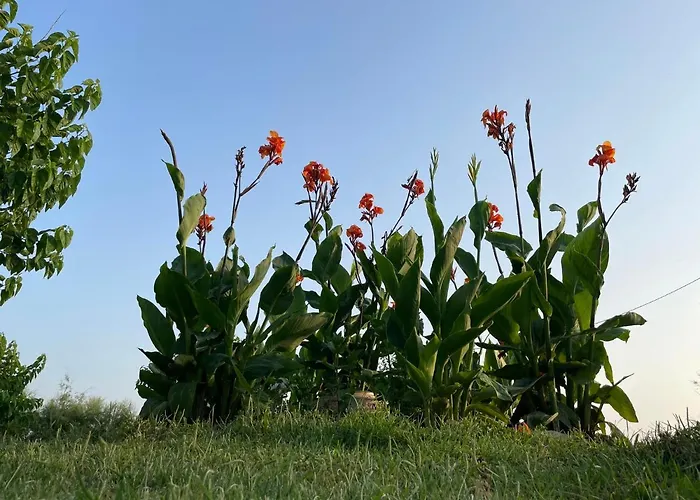 Sea Side View Σπίτι διακοπών *