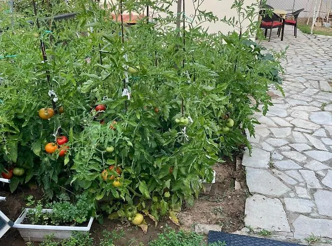 Σπίτι διακοπών Sea Side View